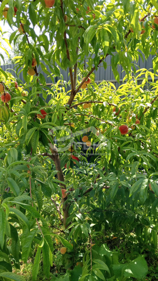 Продажа дома, 110м <sup>2</sup>, 4 сот., Калининград, Лунная,  Улица