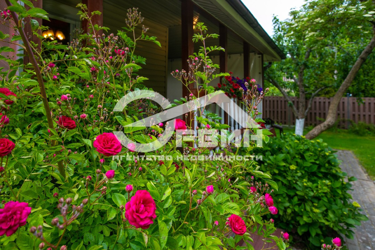 Продажа участка, Светлогорск, Архитектора Попова,  40