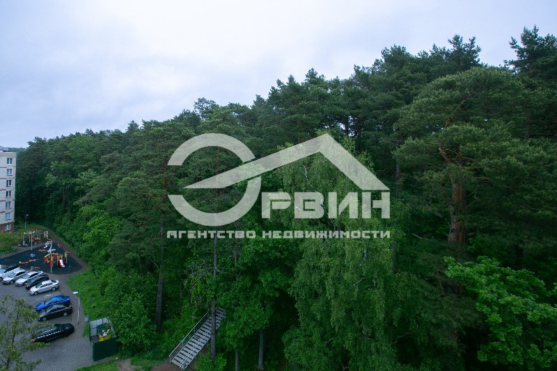 Продажа 1-комнатной квартиры, Светлогорск, Майский проезд,  17