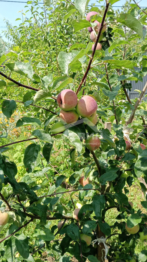 Продажа дома, 110м <sup>2</sup>, 4 сот., Калининград, Лунная,  Улица