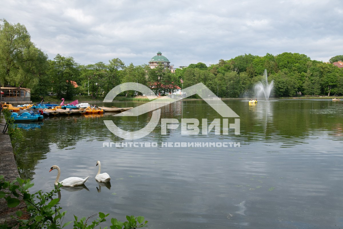 Продажа участка, Светлогорск, Архитектора Попова,  40