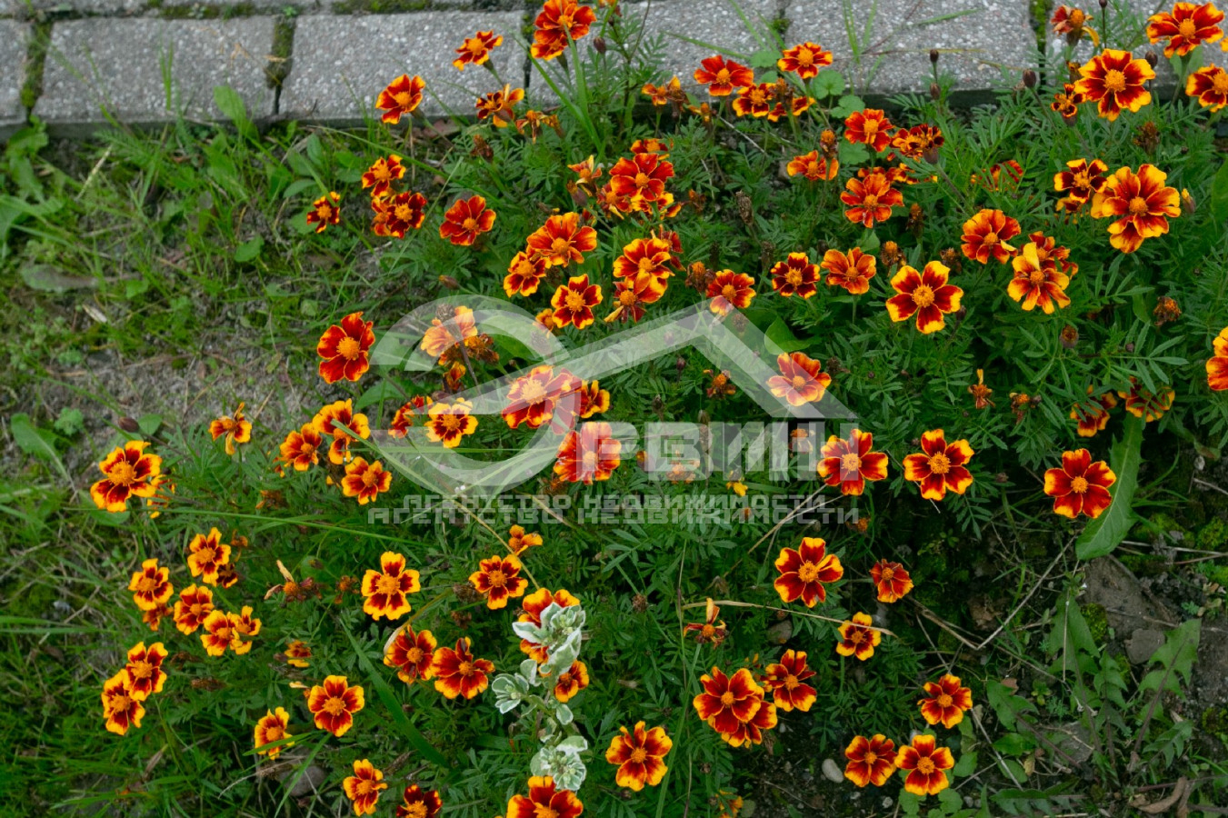 Продажа дома, 70м <sup>2</sup>, 5 сот., Рыбное, Гвардейская,  Улица